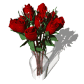 dozen_red_roses_expand_vase_md_wht.gif