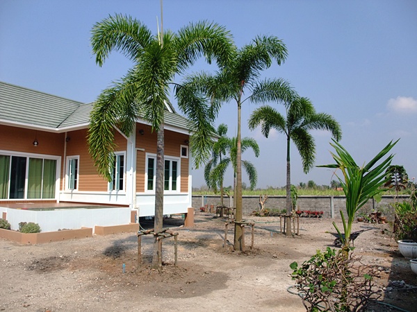 R11728195-66