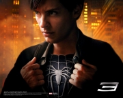 Spiderman3_3.jpg