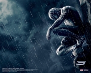 Spiderman_3_movie.jpg