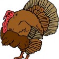 Loading...