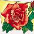 Loading...