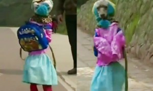 สุนัขเดิน 2 ขาแต่งชุดนักเรียนในจีน สุนัขเดิน 2 ขาแต่งชุดนักเรียนในจีน