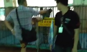 คลิปแฉนักท่องเที่ยวจีนถีบลูกเสือ