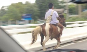 เด็กขี่ม้าไปเรียน ได้ฉายา สุดสาครยุค 2016