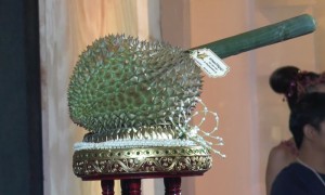 เจ้าของทุเรียนลูกละ 8 แสนบาท แจงแค่อยากร่วมทำบุญ