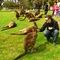 ࢵ�ѡ�Ҿѹ����ѵ������������� (Australian Wildlife Park)