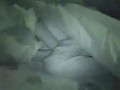 �ź���ԭ�ҳ