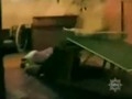 �����ѹ���/2