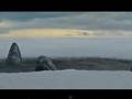 Big Miracle �ү�������������