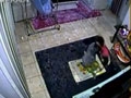 ������§�硡ѹẺ������