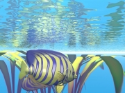 3D_Fish.jpg