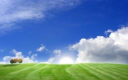 3D_land.jpg
