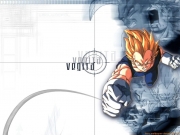 dbz_15_1024(1).jpg