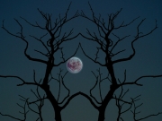 halloween_10.jpg