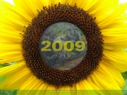 1600-newyear13.jpg