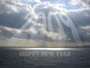 1600-newyear14.jpg