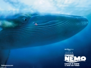 Finding_Nemo_1024.jpg