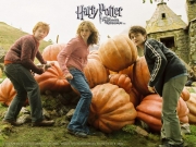 Harry_Potter3_2.jpg