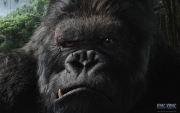 King_Kong_7.jpg