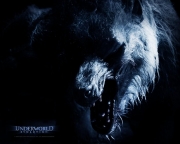 Underworld_Evolution_3.sized.jpg