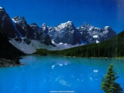 landscape (1).jpg