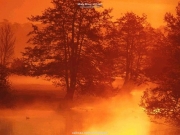 landscape (10).jpg
