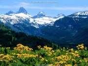 landscape (11).jpg