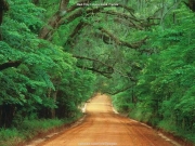 landscape (12).jpg