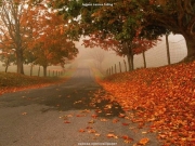 landscape (13).jpg