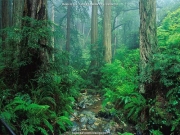 landscape (14).jpg