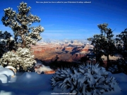 landscape (16).jpg