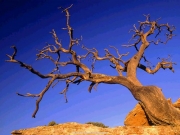landscape (21).jpg