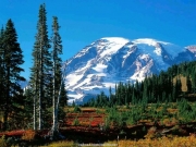 landscape (26).jpg