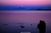landscape (28).jpg