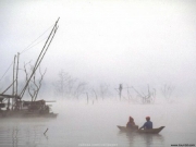 landscape (29).jpg