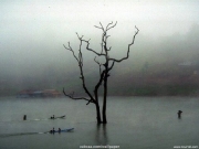 landscape (30).jpg