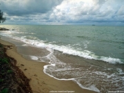 landscape (31).jpg