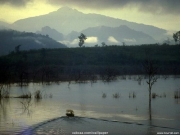 landscape (33).jpg
