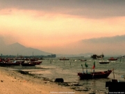 landscape (35).jpg