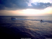 landscape (36).jpg