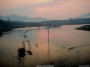landscape (39).jpg