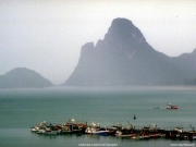 landscape (40).jpg