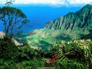 landscape (44).jpg