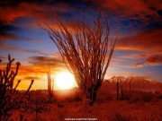 landscape (45).jpg