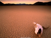landscape (46).jpg