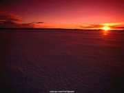 landscape (49).jpg