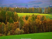 landscape (54).JPG