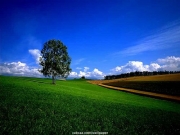 landscape (55).JPG
