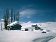 landscape (57).JPG